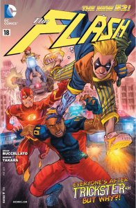 flash 18 cover