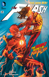 Flash 21 cover