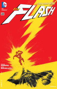 flash 22 cover